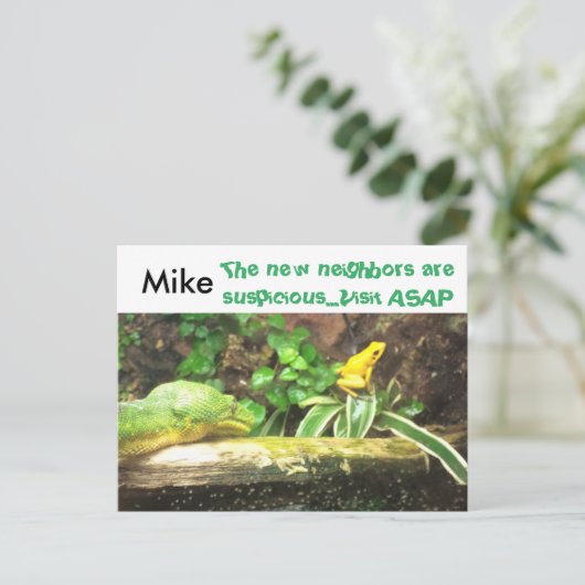 スネークとカエルの新しおもしろいい住所はがき 案内ポストカード (スタンド正面)