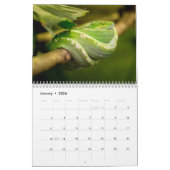 スネークカレンダー2025 カレンダー (1月 2026)