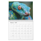 スネークカレンダー2025 カレンダー (2月 2027)