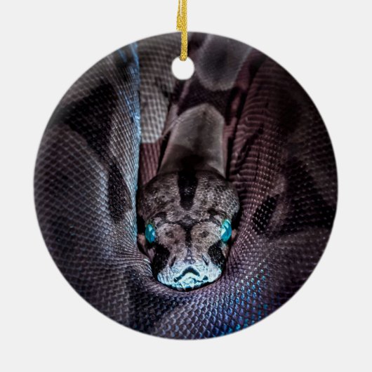 スネーククリスマス飾りスネークオーナメント セラミックオーナメント (裏面)