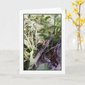 スネークサンバスグリーティングカード カード (黄色い花)