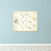 スネークディストリビューション キャンバスプリント (インサイチュ (ウッドフロア))