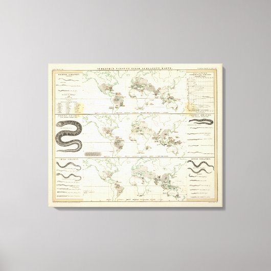 スネークディストリビューション キャンバスプリント (正面)