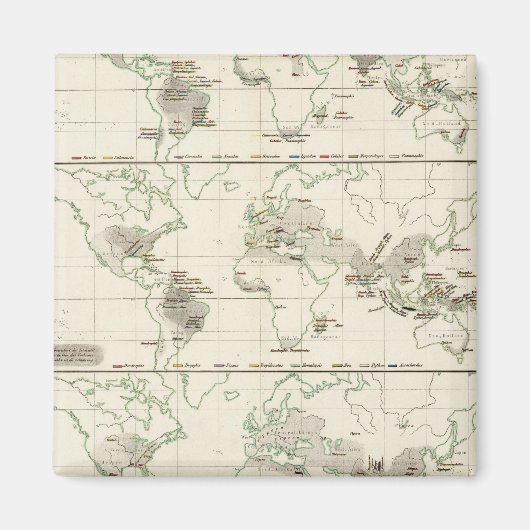 スネークディストリビューション マグネット (正面)