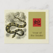 スネーク中国のはがきの年 シーズンポストカード (正面)