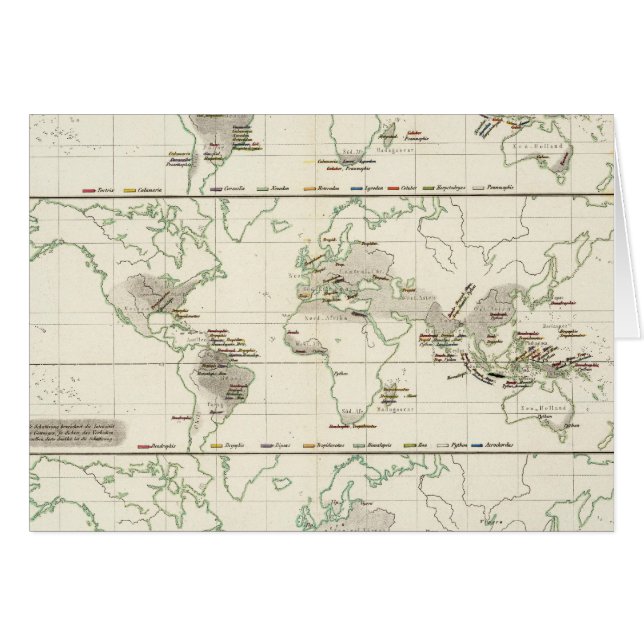 スネーク分布 (正面横)