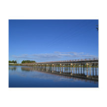 スネーク川の景色