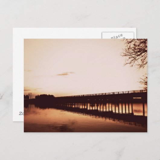 スネーク川はがき ポストカード (正面/裏面)