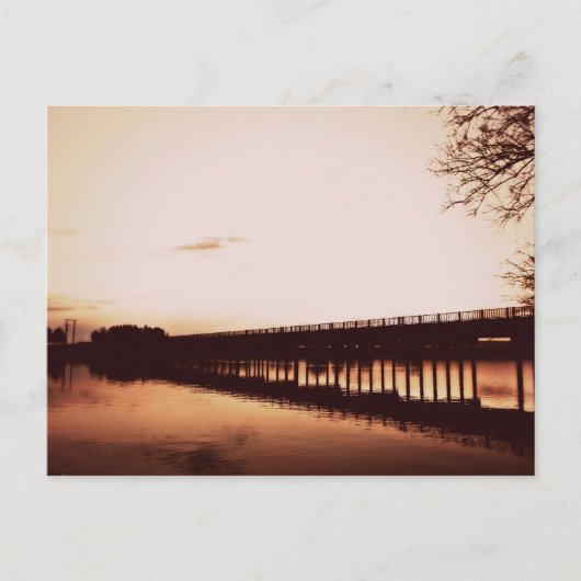 スネーク川はがき ポストカード (正面)