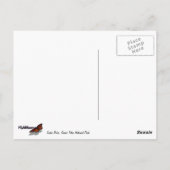 スネーク川を流れるI ポストカード (裏面)