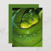 スネーク誕生日カードハッピーバースデースネーク (正面/裏面)