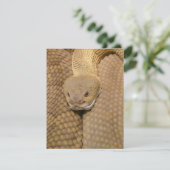 スネーク誕生日カードハッピーバースデースネーク (スタンド正面)