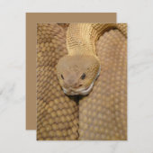 スネーク誕生日カードハッピーバースデースネーク (正面/裏面)