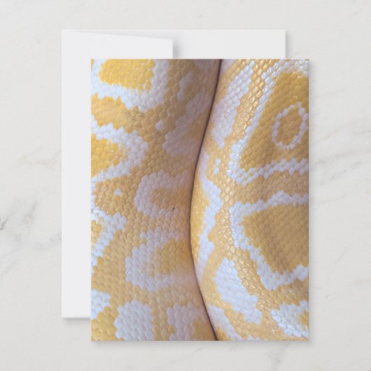 スネーク誕生日カードハッピーバースデースネーク (正面)