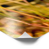 スネーク・イン・ザ・グラス フォトプリント            (角)