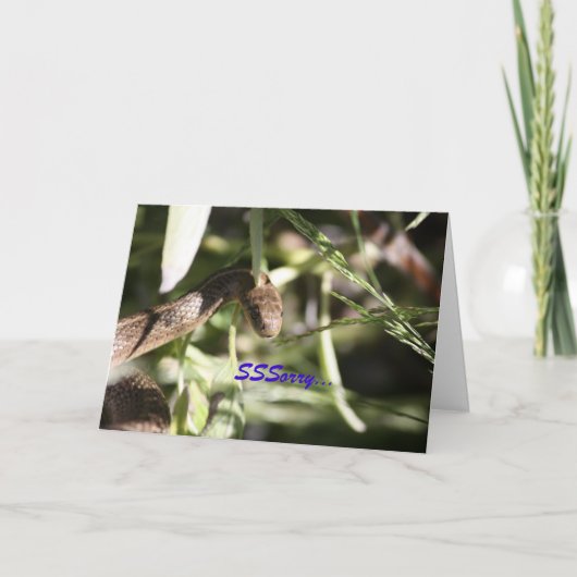 スネーク・コンパシー・カード カード (正面)