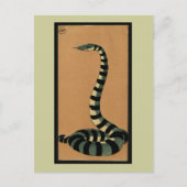 スネーク – 古代カラフル書イラストレーション ポストカード (正面)