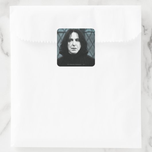 スネープ1 スクエアシール (バッグ)