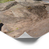 スネールペンギン3羽 ポスター (角)