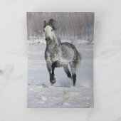 スノイランニングスタリオン馬グリーティングカード シーズンカード (内部)