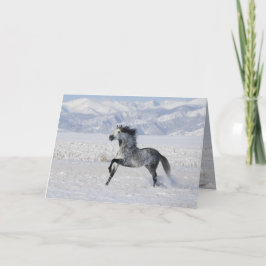 スノイランニングスタリオン馬グリーティングカード シーズンカード