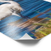 スノイ・エグレット・アット・アット・ザ・ポンド フォトプリント            (角)