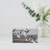 スノウガ飛んでいるチョウ 名刺 (スタンド正面)