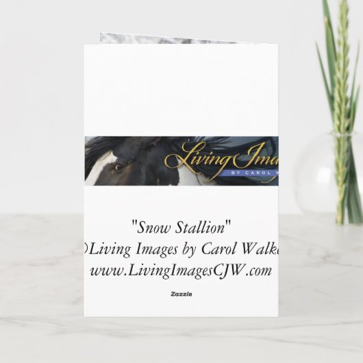 スノウスタリオン馬の挨拶状 シーズンカード (裏面)