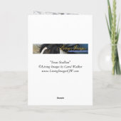 スノウスタリオン馬の挨拶状 シーズンカード (裏面)