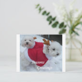 スノウ シーズンポストカード (スタンド正面)