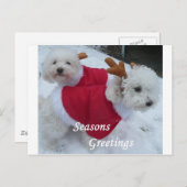 スノウ シーズンポストカード (正面/裏面)