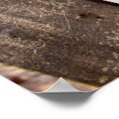 スノクアルミエフィッシュラダープリント ポスター (角)