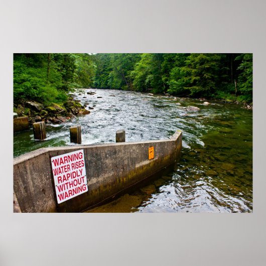 スノクアルミエフィッシュラダープリント ポスター (正面)