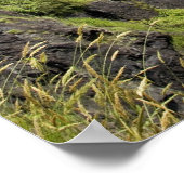 スノクアルミー秋11 ポスター (角)