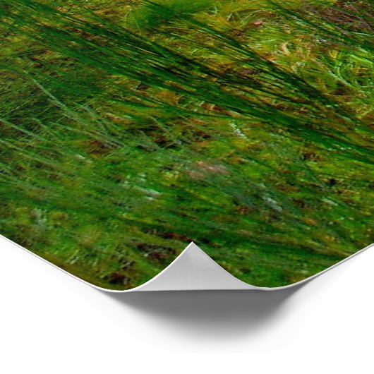 スノクアルミー ポスター (角)