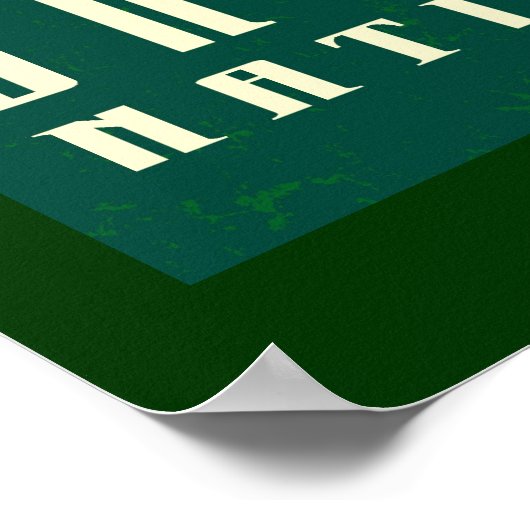 スノクアルミーnf- ポスター (角)