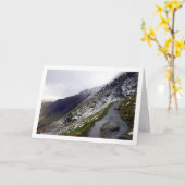 スノドニア国立公園 スノウドン山 ウェールズ イギリス カード (黄色い花)