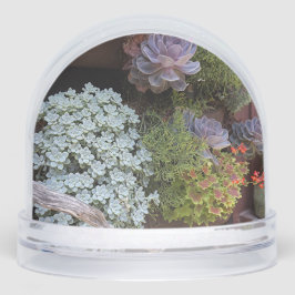 スノングローブの吸肉