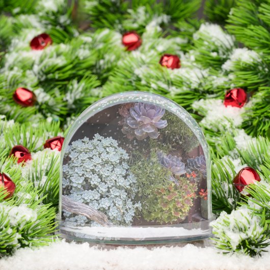 スノングローブの吸肉 (クリスマス)