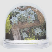 スノングローブの吸肉 (裏面)