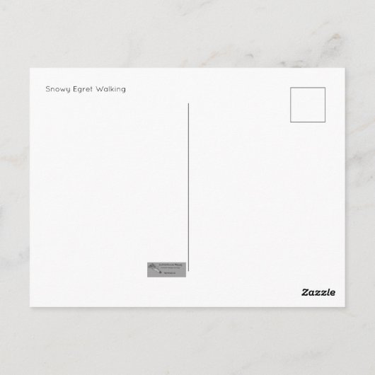 スノーイエグレット歩くはがき ポストカード (裏面)