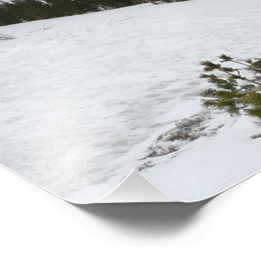 スノーイエラリーレイクカリフォルニア冬の風景 フォトプリント (角)