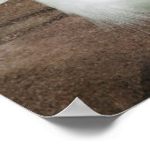 スノーイエーグレッツポスター ポスター (角)