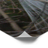 スノーイエーグレットのポスター ポスター (角)