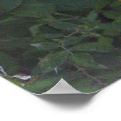 スノーイエーグレットのポスター ポスター (角)