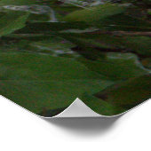 スノーイエーグレットのポスター ポスター (角)