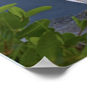 スノーイエーグレットアットマーシュ ポスター (角)