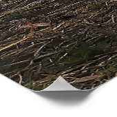 スノーイエーグレット ポスター (角)