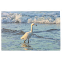 スノーイエーグレット