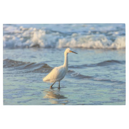 スノーイエーグレット メタルプリント